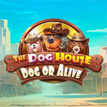 The Dog House Dog or Alive