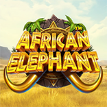 African Elephant