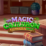 The Magic Cauldron - Enchanted Brew