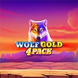 Wolf Gold 4 Pack