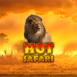 Hot Safari