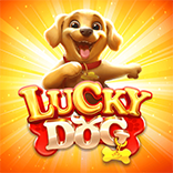 Lucky Dog