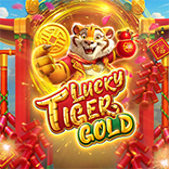 Lucky Tiger Gold