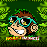 Monkey Madness
